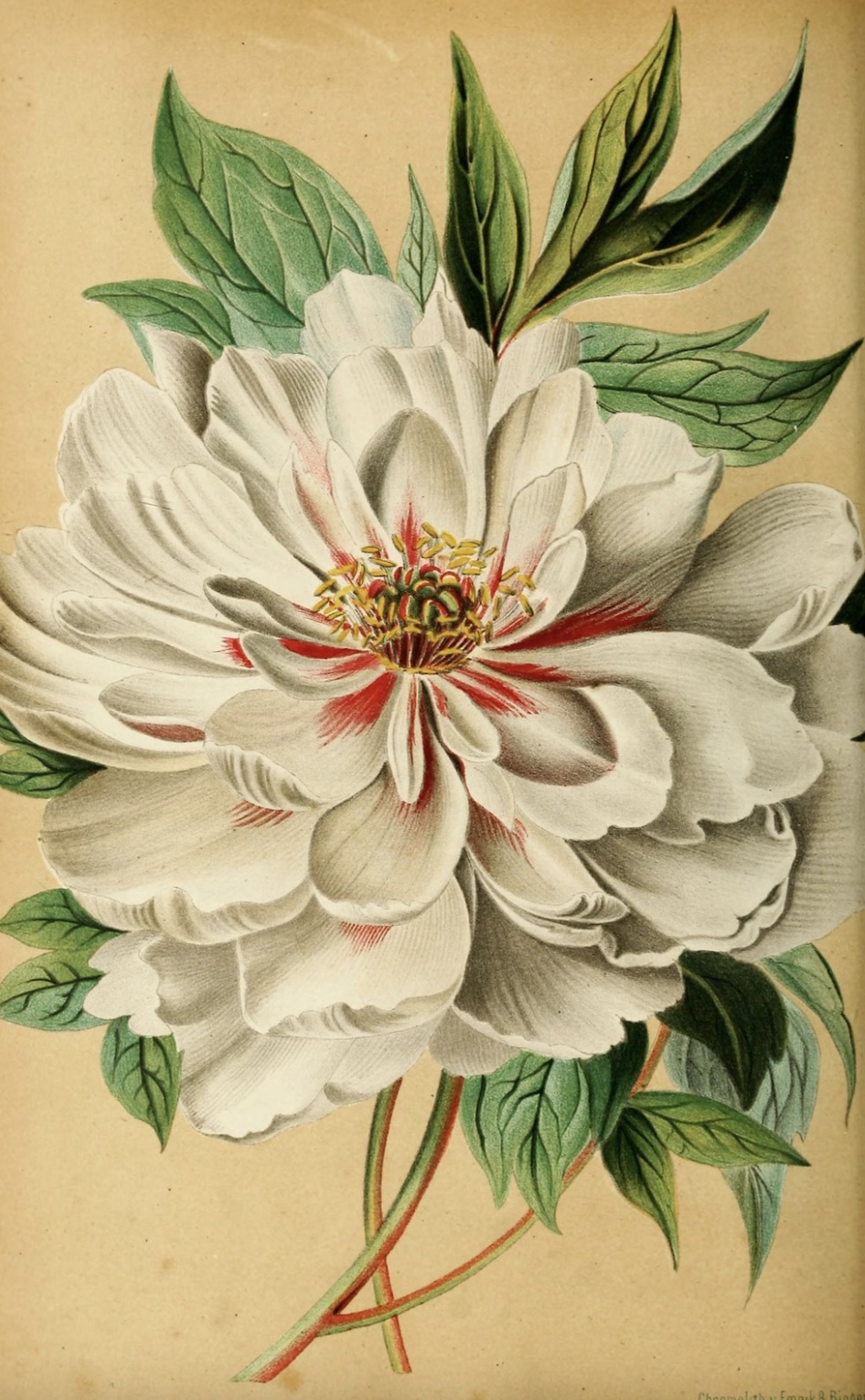 Sample Post #1